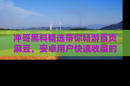 冲哥黑料精选带你畅游首页麻豆，安卓用户快速收藏的秘密武器！