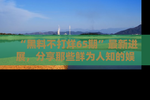 “黑料不打烊65期”最新进展，分享那些鲜为人知的娱乐八卦