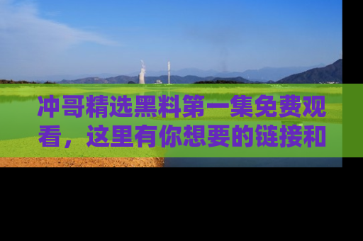 冲哥精选黑料第一集免费观看，这里有你想要的链接和内幕！