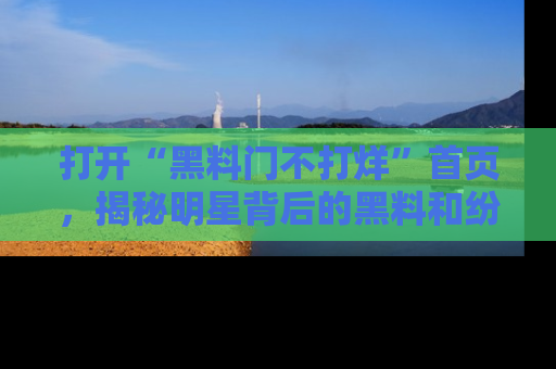 打开“黑料门不打烊”首页，揭秘明星背后的黑料和纷争真相！