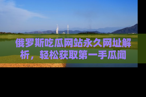 俄罗斯吃瓜网站永久网址解析，轻松获取第一手瓜闻