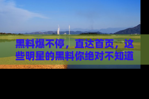 黑料爆不停，直达首页，这些明星的黑料你绝对不知道！