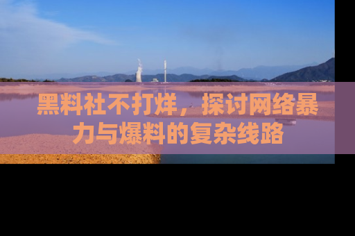 黑料社不打烊，探讨网络暴力与爆料的复杂线路