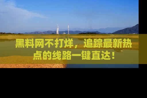 黑料网不打烊，追踪最新热点的线路一键直达！