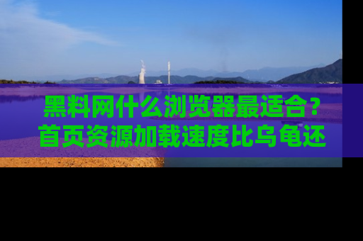 黑料网什么浏览器最适合？首页资源加载速度比乌龟还慢的体验真心吐槽！