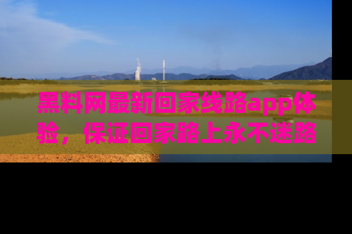 黑料网最新回家线路app体验，保证回家路上永不迷路顺畅