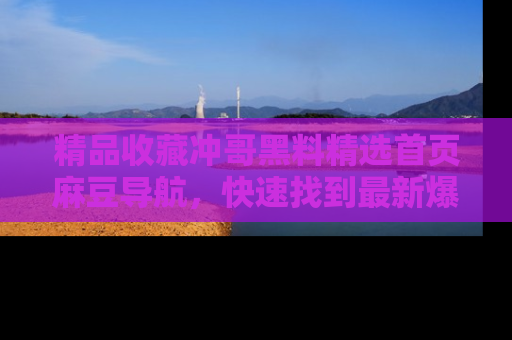 精品收藏冲哥黑料精选首页麻豆导航，快速找到最新爆料