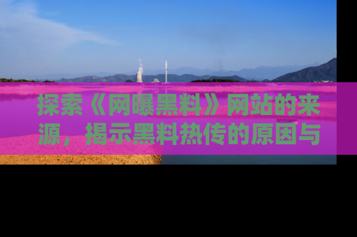 探索《网曝黑料》网站的来源，揭示黑料热传的原因与影响