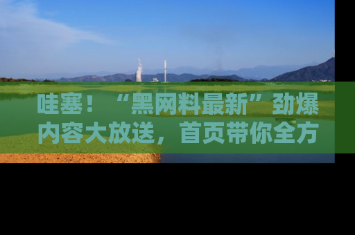 哇塞！“黑网料最新”劲爆内容大放送，首页带你全方位了解哦，小可爱们