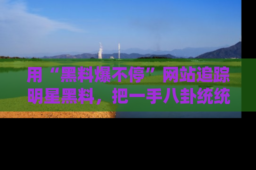 用“黑料爆不停”网站追踪明星黑料，把一手八卦统统收进你的后宫中！