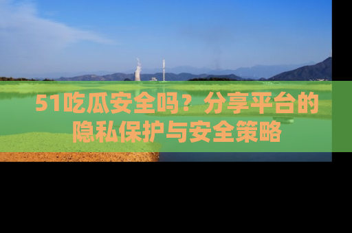 51吃瓜安全吗？分享平台的隐私保护与安全策略