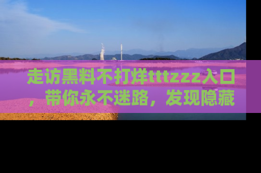 走访黑料不打烊tttzzz入口，带你永不迷路，发现隐藏的黑幕
